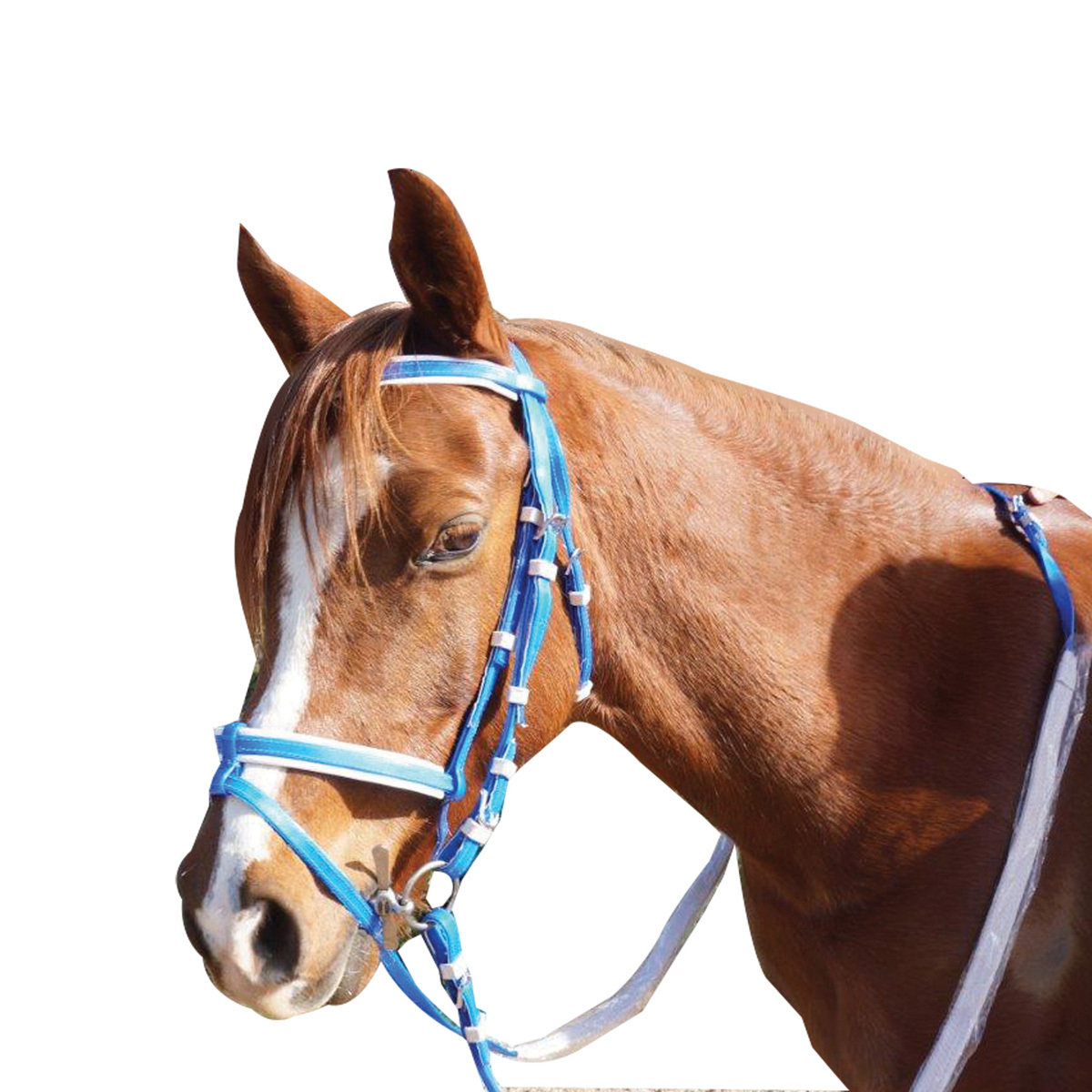 Horse Barcoo Bridle In Mini Pony Cob Full Or X-full Sizes With Nickel Fittings Huge Colour Options - Canada - Foto 2