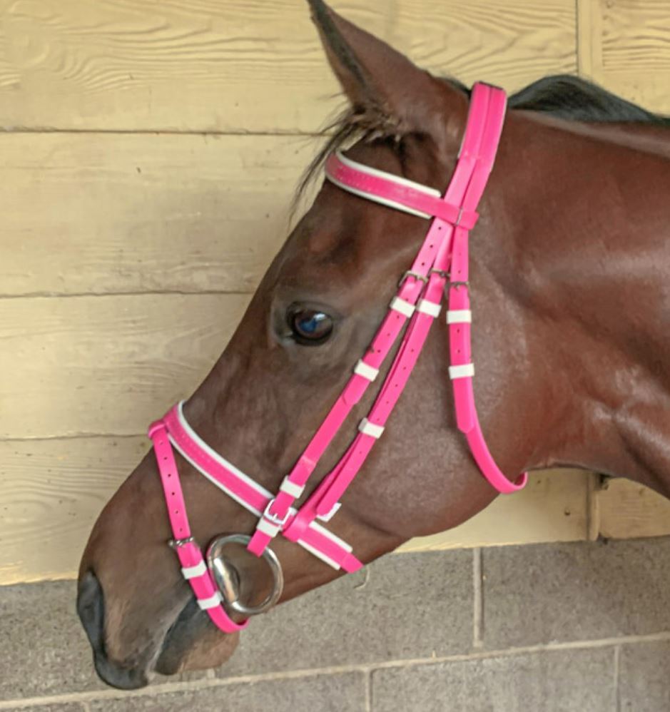 PVC Hanoverian Bridle , colourful, strong bridles Horses Warehouse