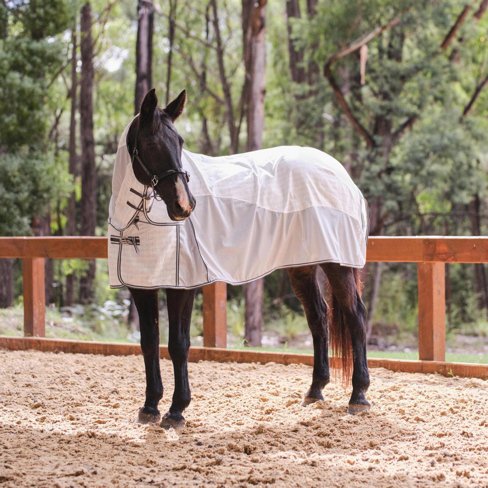 Hybrid Mesh Combo, strong and breezy Horses Warehouse