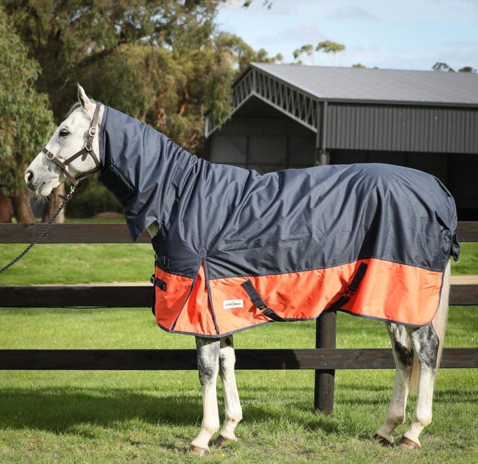 Eureka Winter Synthetic Combo Horses Warehouse