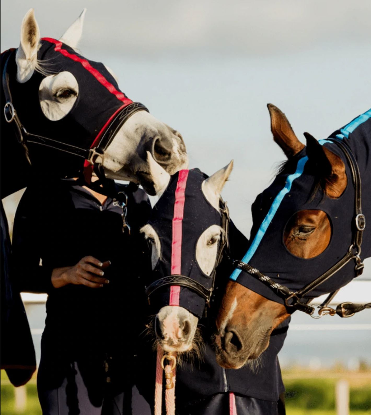 Buy Online Zipped Up Hoods by Earlwood Horse's Warehouse