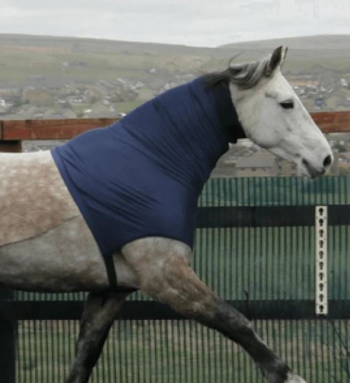 Earlwood Headless Hood Horses Warehouse