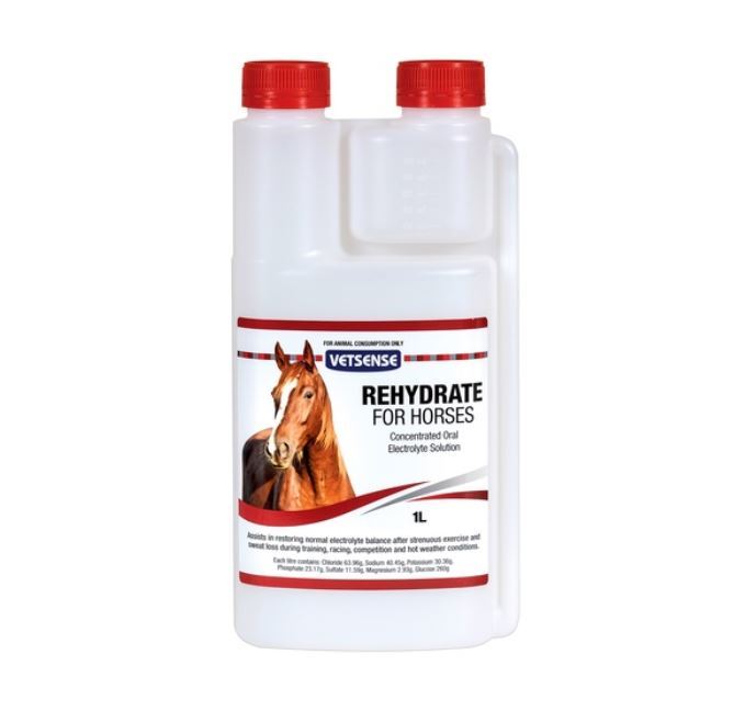 Buy Rehydrate for Horses online to maintain normal electrolyte balance
