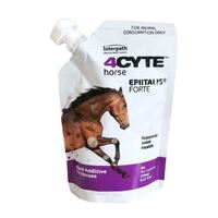 4CYTE Horse Epiitalis Gel 250ml