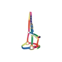 Bambino Rainbow  Headstall - Full 