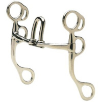 Congress Cutter Bit