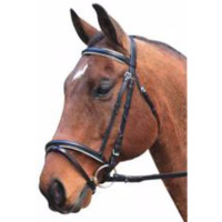 Hanovarian Eventing bridle 