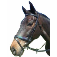 Luciana Dbl Jewelled HNB Bridle