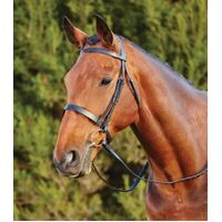 Kincade Cavesson Bridle