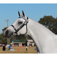 Collegiate Flat Cavesson Bridle