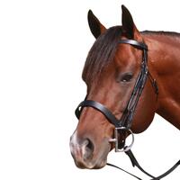 Flat Leather Cavesson Bridle