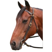 Leather Barcoo Bridle with Brass fittings