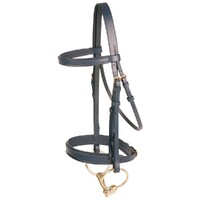 Jeremy & Lord Dressage Bridle