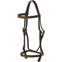 Jeremy Lord in hand show bridle