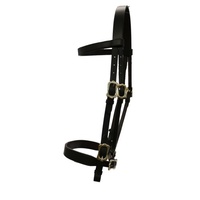 In-hand Flat Show Bridle - Brown - Shetland 