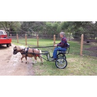 Jinker Buggy