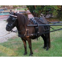 Cob and Full Pony Available Sizes : Mini Blue Lake Horse Driving Harness Color : Purple 