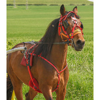 Pony Trot Harness (Quick Hitch)