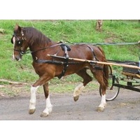 PVC Driving Harness [Size: PONY]