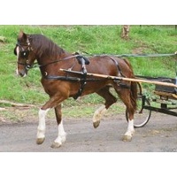 PVC Driving Harness [Size: COB]