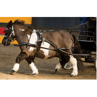 SL Sliding Backband Harness - Mini
