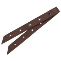 Nylon webbing Billet Strap