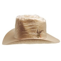 Western Hat Cover - Clear Vinyl