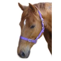 Headstall NP Buckle