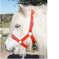 Shetland Headstall [Colour: Royal]