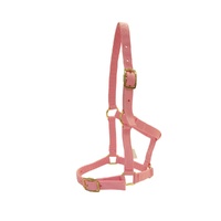 Foal Halter with buckles [Colour: Pink]