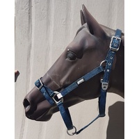 Continental Warmblood Headstall
