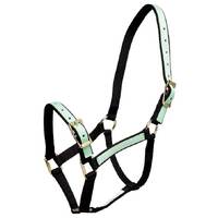 Pastel Headstall