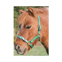 PVC Headstall mini