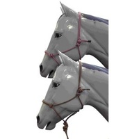 Heavy Duty Knotted Rope Halter with Lead
