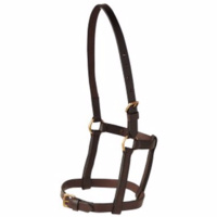 Leather Mini Halter