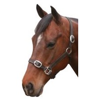 Eureka Leather Headstall