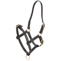 Foal Halter Pn