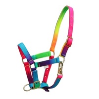 RAINBOW FOAL HEADSTALL