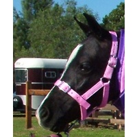 MiniCraft Mini Foal Headstalls