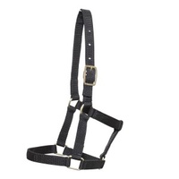 Piccolo Mini Headstall 