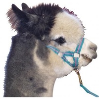 Alpaca Headstall and Lead Set