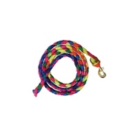 Rainbow Plaited Lead 