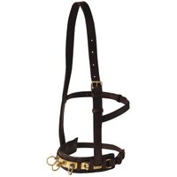 Leather Lunge Cavesson