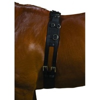 Kincade Equi-grip Lunge Roller