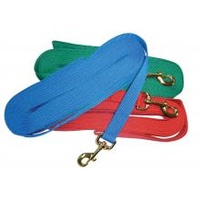 Lunge Lead Nylon