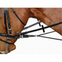 Horse Lunging & Training Aids - Horses Warehouse