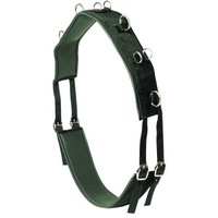 Equi-prene anti gall training surcingle