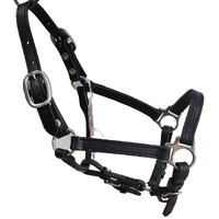 Western Mini Halter