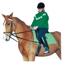 Draw Reins