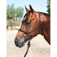 Pro Choice Clinician Halter and lead Set